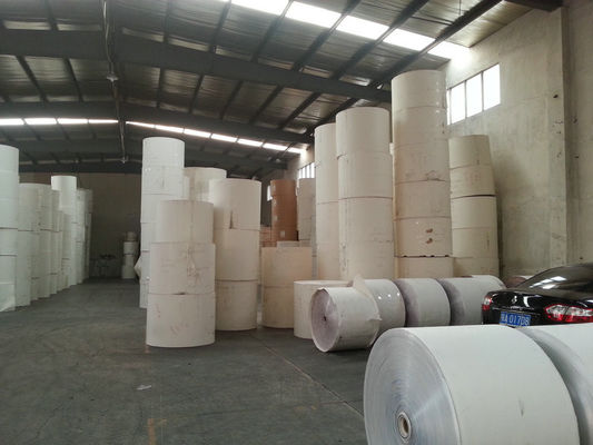 China Customized Printing White PE Coated Printed Paper Roll for Making Paper Cups supplier