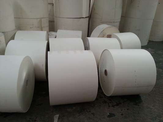 China Custom Paper Cup Raw Material Printed Paper Roll with Offset &amp; Flexo Printing supplier